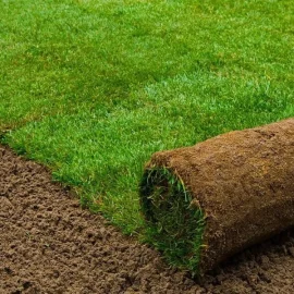 تنسيق حدائق Landscaping